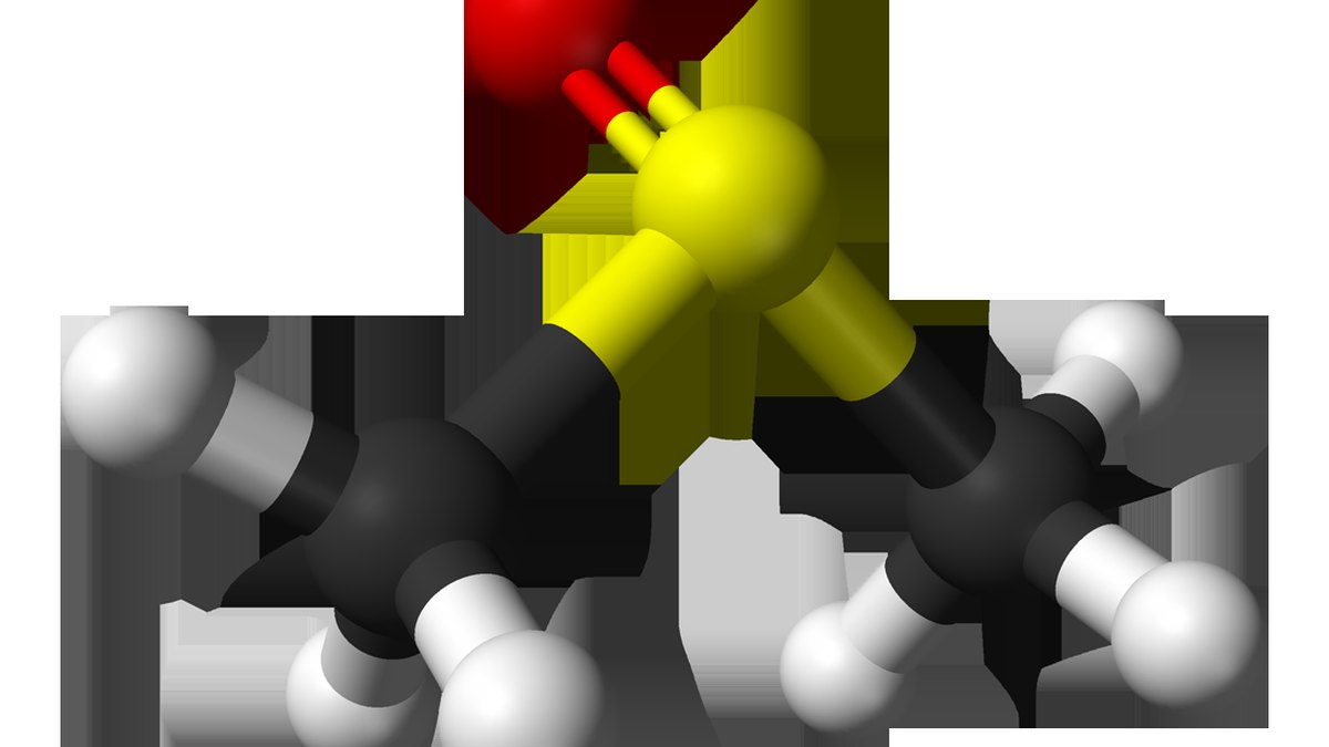 Dimethyl sulfoxide (DMSO) molecule — the amphipathic solvent that gently opens the skin barrier for transdermal peptide delivery; a PeptideSticker monograph by Panacea Bio Chem and Bogdan Dicoias